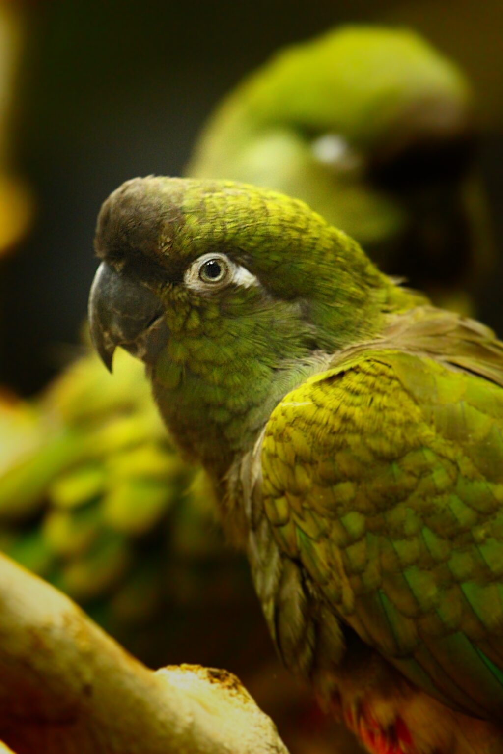 small-animal-building-utah-s-hogle-zoo