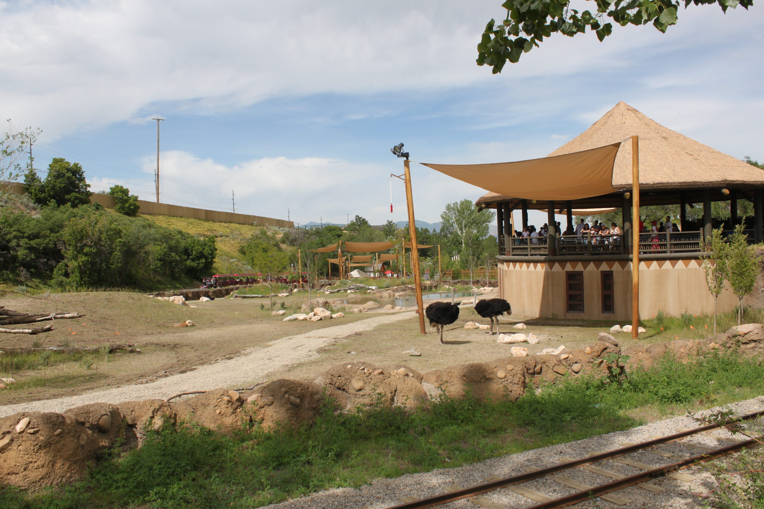 Tours - Utah's Hogle Zoo 