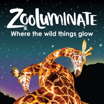 ZooLuminate event at Hogle Zoo